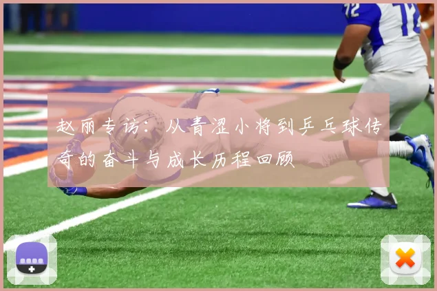 赵丽专访：从青涩小将到乒乓球传奇的奋斗与成长历程回顾